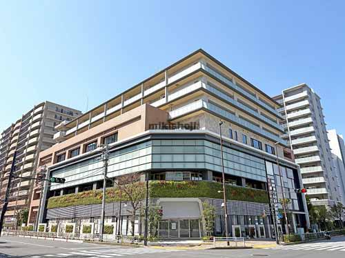 豊洲・枝川・青海・有明のＡＩＰ２５豊洲ビル 外観1