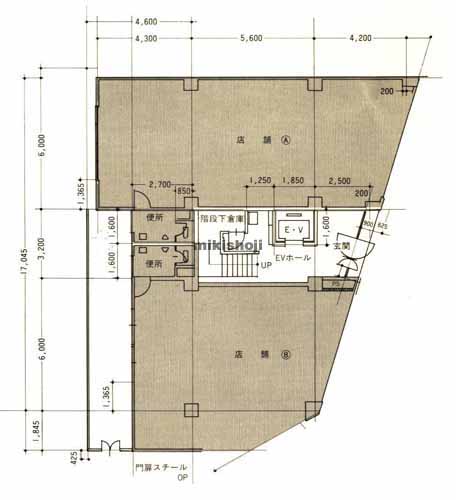 金町・東金町の市野ビル 平面1