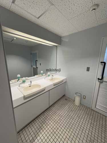 厚別区の新札幌第一生命ビルディング 水回り1