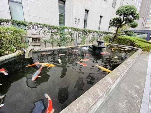 八木ビル エントランス5