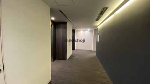 西区他のアステリオ北堀江　ＴＨＥ　ＭＥＴＲＯ　ＴＯＷＥＲ エレベーターホール1