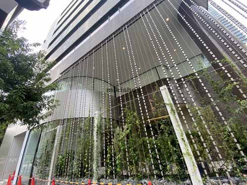 本町ＮＸビル エントランス9