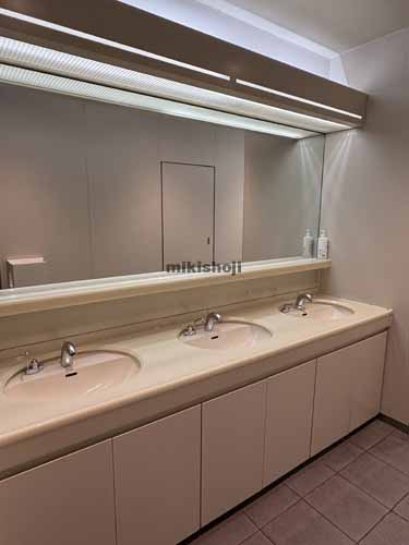 南大塚・北大塚のＳｏｕｔｈ新大塚ビル 水回り3