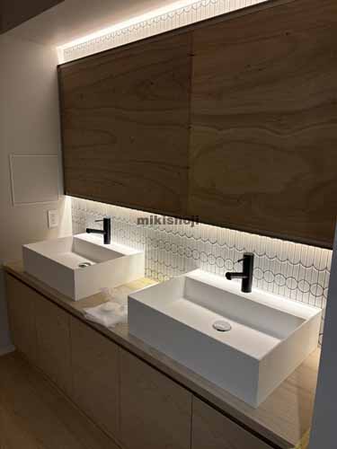 フロンティア本郷Ⅱ 水回り8