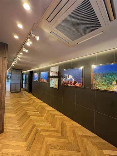 新川のＧｌａｎｆｆｉｃｅ茅場町 エントランス1