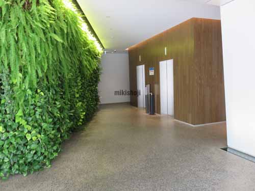 新橋のＴＳＡＯ　ＨＩＢＩＹＡ エントランス1