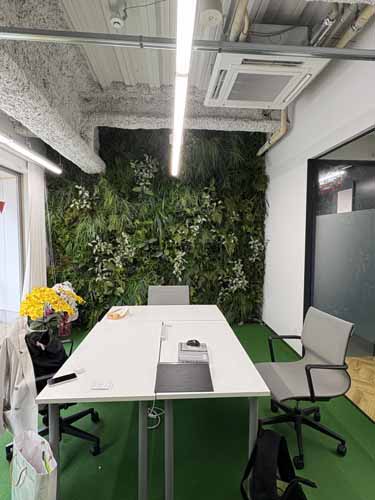 Ｓｒｅｅｄ　ＥＢＩＳＵ 居抜き室内4