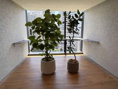 赤坂グリーンクロス 付帯設備4