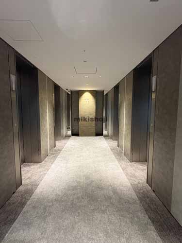 Ｈｉ－ｇｓ日本橋 エレベーターホール1