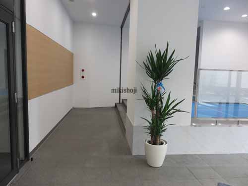 代官山町・猿楽町のＩｍａｓ　Ｓｈｉｂｕｙａ エントランス1