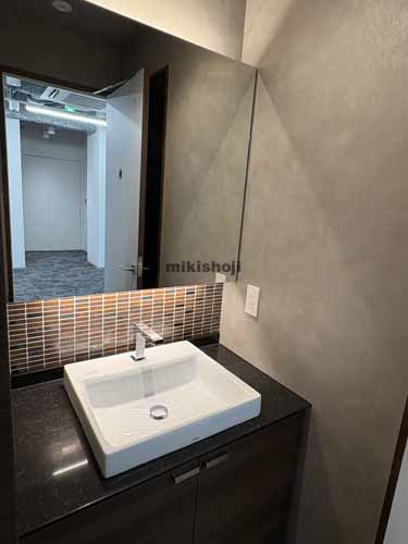 ＶＯＲＴ渋谷ｅａｓｔⅡ 水回り4